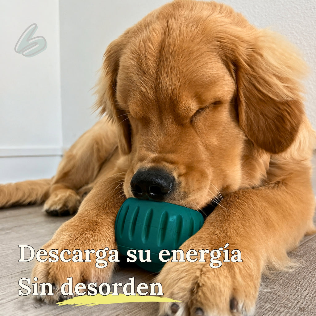 Pawpsicle