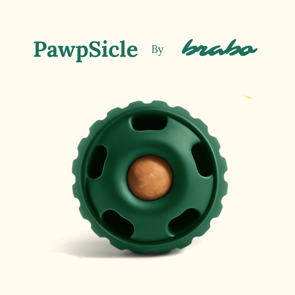Pawpsicle